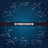 狮子座眼中的射手座，狮子座该不该爱上射手座吗