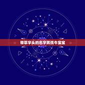 带草字头的名字男孩牛宝宝，带草字头的牛宝宝取名