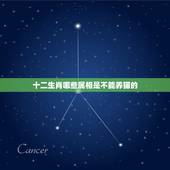 十二生肖哪些属相是不能养猫的，什么属相不能养猫