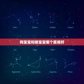 狗宝宝和猪宝宝哪个属相好，属狗男和属猪女孩子属什么好？