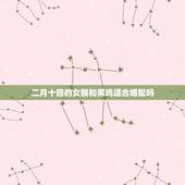 二月十四的女猴和男鸡适合婚配吗，猴子和属鸡生肖相配吗？