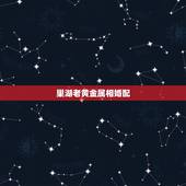 巢湖老黄金属相婚配，巢湖老黄金今日金价多少元一克