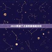 2023有添丁之喜的属相麦玲玲，翡翠龙福齐天庆新春麦玲玲说十二生肖
