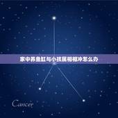 家中养鱼缸与小孩属相相冲怎么办，请高人指点我家的鱼缸风水问题