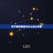 双子座的眼睛为什么这么好看，十二星座谁最有钱