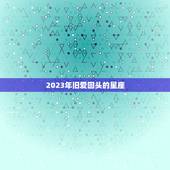 2023年旧爱回头的星座，处女座2023 年和前任