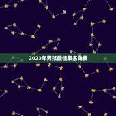 2023年男孩最佳取名免费，男孩取名字寓意好的字2023年