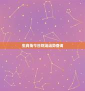 生肖兔今日财运运势查询，生肖兔今日财运运势查询表