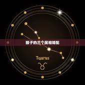 猴子的三个属相婚配，属猴的属相婚配表