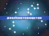 属老鼠的和属猴子的属相相配不相配，属老鼠的配属猴的 配不配