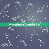 狗和啥属相配羊女狗的婚姻状况，94年的女属狗的和91年的男属羊的婚姻配