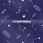 2023年男牛宝宝乳名，2023牛年宝最佳取名