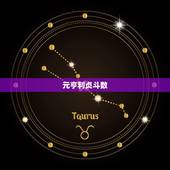 元亨利贞斗数，元亨利贞斗数的限流盘