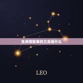 生肖婚配表的三会是什么，属相婚配