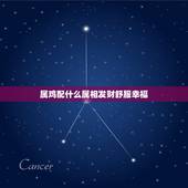 属鸡配什么属相发财舒服幸福，属鸡的人和什么属相的人搭配容易发财