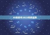85年的牛2023年的运势，2023年属牛人的全年运势