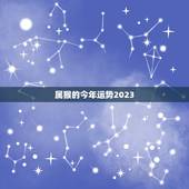 属猴的今年运势2023，80年属猴人在2023年的全年运势