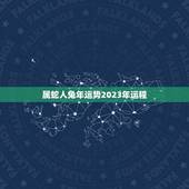 属蛇人兔年运势2023年运程(详解兔年属蛇人的运势预测)