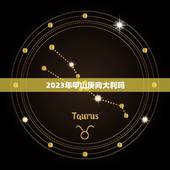 2023年甲山庚向大利吗