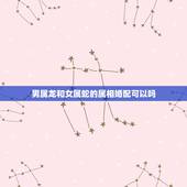 男属龙和女属蛇的属相婚配可以吗，属龙和属蛇相配吗？可以吗？