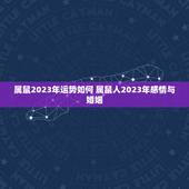 属鼠2023年运势如何 属鼠人2023年感情与婚姻
