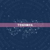 丁已五行属什么，男孩能用的五行属水的字有哪