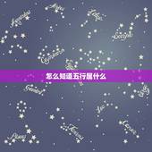 怎么知道五行属什么，如何查自己的五行