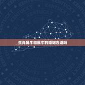 生肖属牛和属牛的婚姻合适吗，属牛的和属狗的适合结婚吗