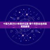 十鼠九苦2023年是什么鼠 哪个月份出生的鼠宝宝最苦