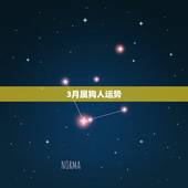 3月属狗人运势