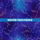 属猴的和哪个属相合作促进发展，属猴的和什么属相相冲