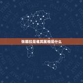张娜拉是谁其属相是什么，张娜拉哪年出生，属什么？