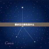 蔡的五行属性是什么，宝宝2019年11月9日中午14点