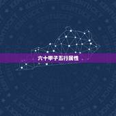 六十甲子五行属性，关于六十甲子的五行属性与