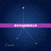 男羊与女蛇婚配怎么样，男属羊女属蛇配吗 详细�0�3