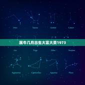 属牛几月出生大富大贵1973，属牛的1973年2月除九出生买房几楼好