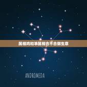 属相鸡和羊属相合不合做生意，属鸡和属羊的人可以一起做生意吗