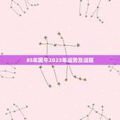 85年属牛2023年运势及运程 1985年牛年今年运势