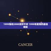 1999兔和2000龙好不好 1999年属兔的最佳婚配