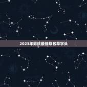 2023年男孩最佳取名草字头，亲，帮我找一个适合给男孩子取名用的，带草