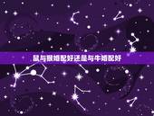 鼠与猴婚配好还是与牛婚配好，属牛的和属鼠的属相合吗？为什么？
