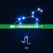 属猪人的婚配属相最好是哪一个，1971年属猪的人和什么属相相配