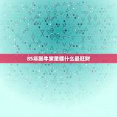 85年属牛家里摆什么最旺财，85年属牛的和什么属相最配