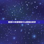 属猪95年猪婚配什么属相比较好，95年属猪最佳婚配属相