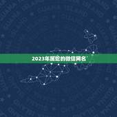 2023年属蛇的微信网名，属蛇起微信名怎么写