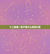 十二星座一辈子是什么命排行榜，十二星座颜值排行榜