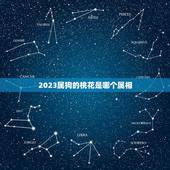 2023属狗的桃花是哪个属相，2023年属狗的幸运颜色是什么色