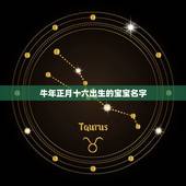 牛年正月十六出生的宝宝名字，1973年正月十六出生属牛是什么命？