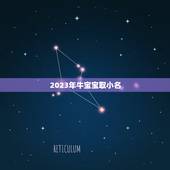 2023年牛宝宝取小名，2023年牛宝宝乳名