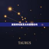 属猪男和属龙女的属相合吗，属猪的男生和属龙的女生相配吗